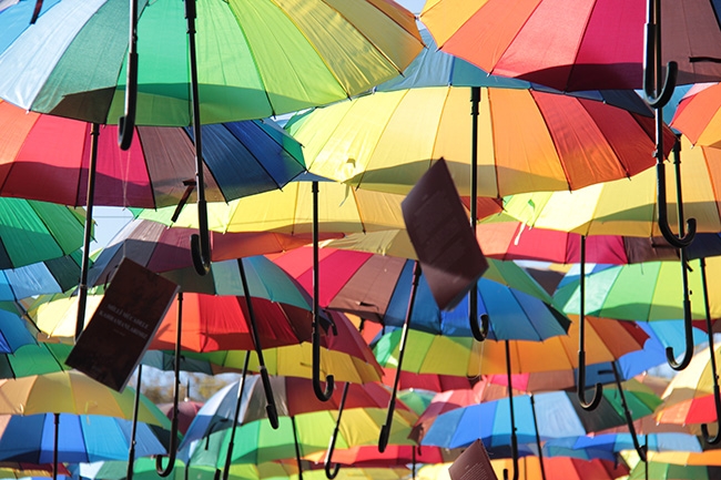 Fotoğrafların Dilinden Kitap Fuarı 5