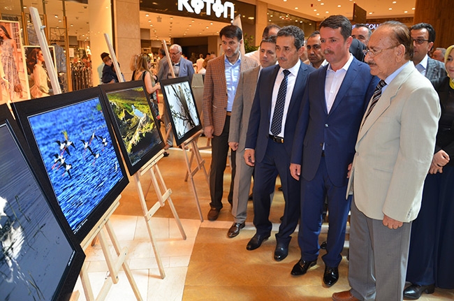 “Kuşlarla Çırpınan Göl” İsimli Resim Sergisi Açılışı Gerçekleştirildi 4