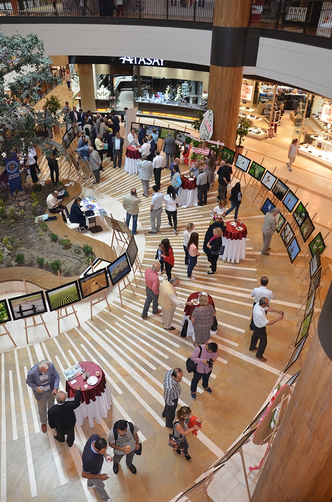 “Kuşlarla Çırpınan Göl” İsimli Resim Sergisi Açılışı Gerçekleştirildi 8