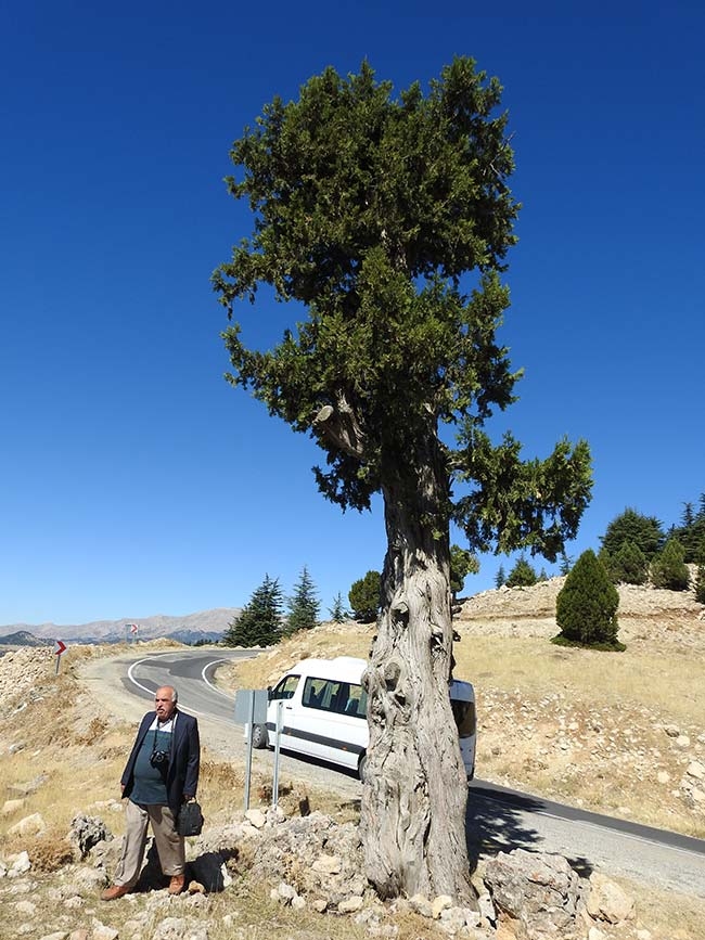 Az gittik uz gittik dere tepe düz gittik 18