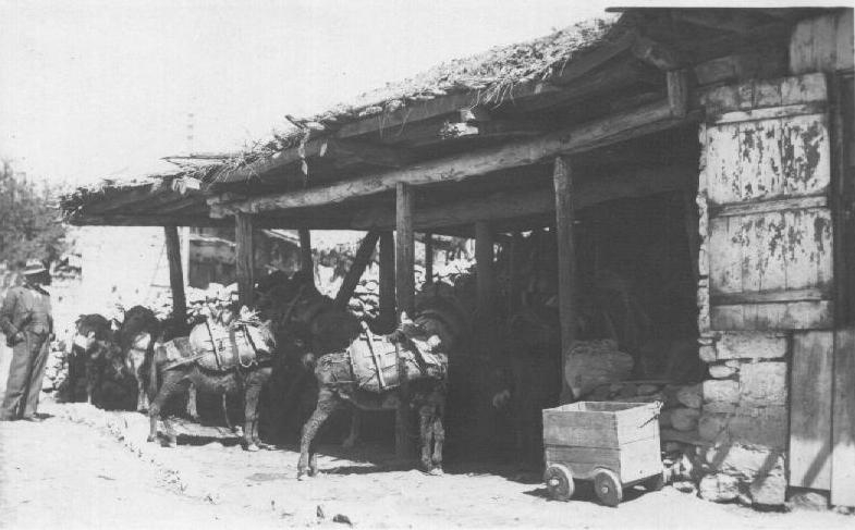 Kahramanmaraş'ın Tarih Kokan Fotoğrafları (1) 18