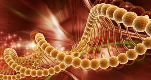 Kanseri önlemenin 7 yolu 2