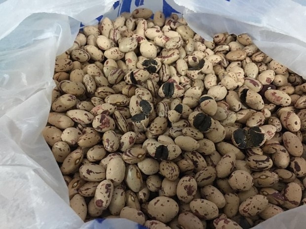 TÜRKİYE'DE İLK DEFA ELE GEÇİRİLDİ! 1