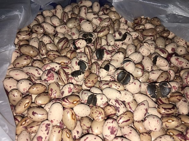 TÜRKİYE'DE İLK DEFA ELE GEÇİRİLDİ! 3