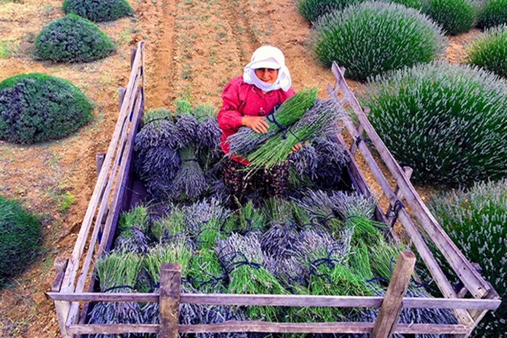 TARIM VE İNSAN KONULU FOTOĞRAF SERGİSİ KAHRAMANMARAŞ’TA 18