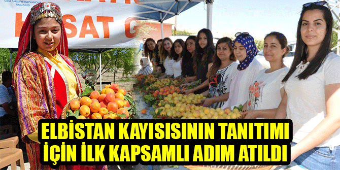 ELBİSTAN KAYISISININ TANITIMI İÇİN İLK KAPSAMLI ADIM ATILDI 1