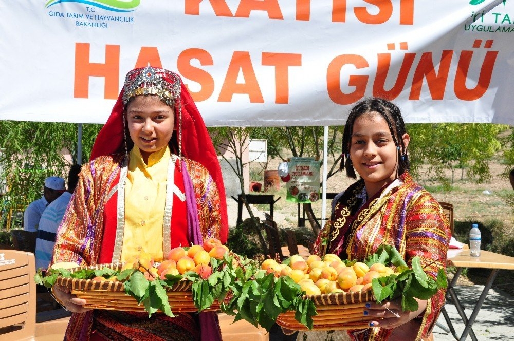ELBİSTAN KAYISISININ TANITIMI İÇİN İLK KAPSAMLI ADIM ATILDI 2