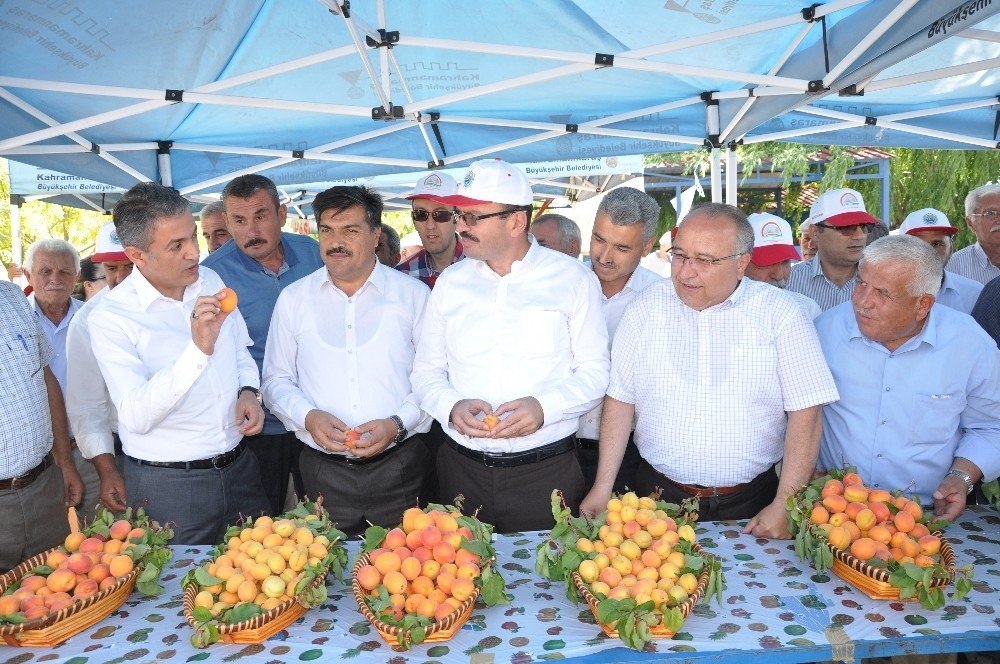ELBİSTAN KAYISISININ TANITIMI İÇİN İLK KAPSAMLI ADIM ATILDI 4