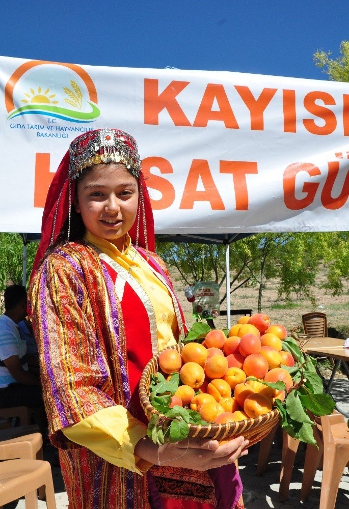 ELBİSTAN KAYISISININ TANITIMI İÇİN İLK KAPSAMLI ADIM ATILDI 6