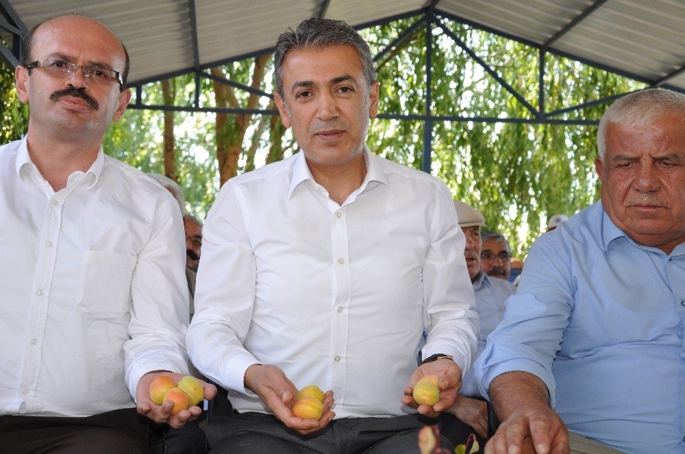 ELBİSTAN KAYISISININ TANITIMI İÇİN İLK KAPSAMLI ADIM ATILDI 8