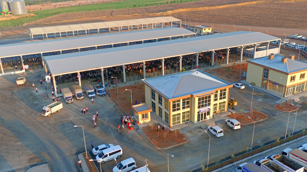 CANLI HAYVAN BORSASI HİZMETE BAŞLADI 4