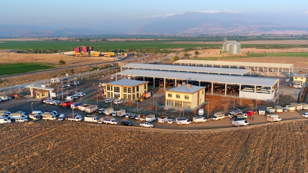 CANLI HAYVAN BORSASI HİZMETE BAŞLADI 5