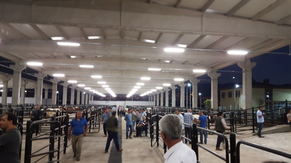 CANLI HAYVAN BORSASI HİZMETE BAŞLADI 6