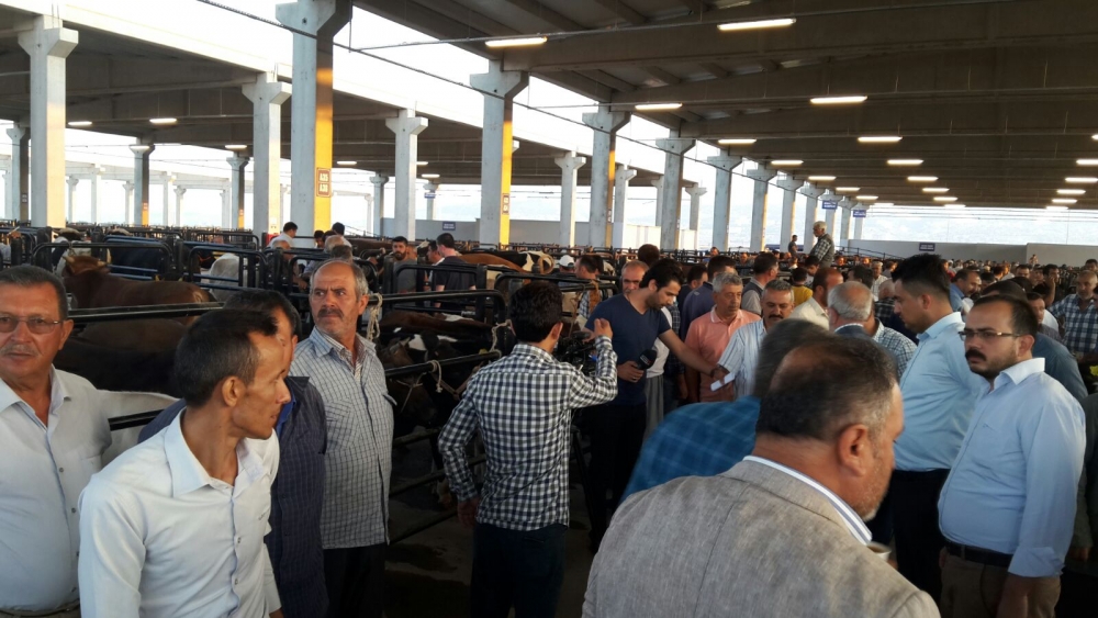 CANLI HAYVAN BORSASI HİZMETE BAŞLADI 9