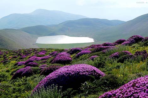 Fotoğrafçının Günlüğünden Kahramanmaraş 2