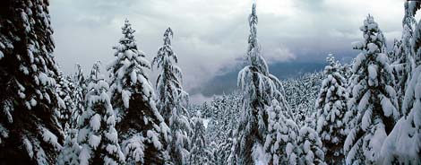 Fotoğrafçının Günlüğünden Kahramanmaraş 7