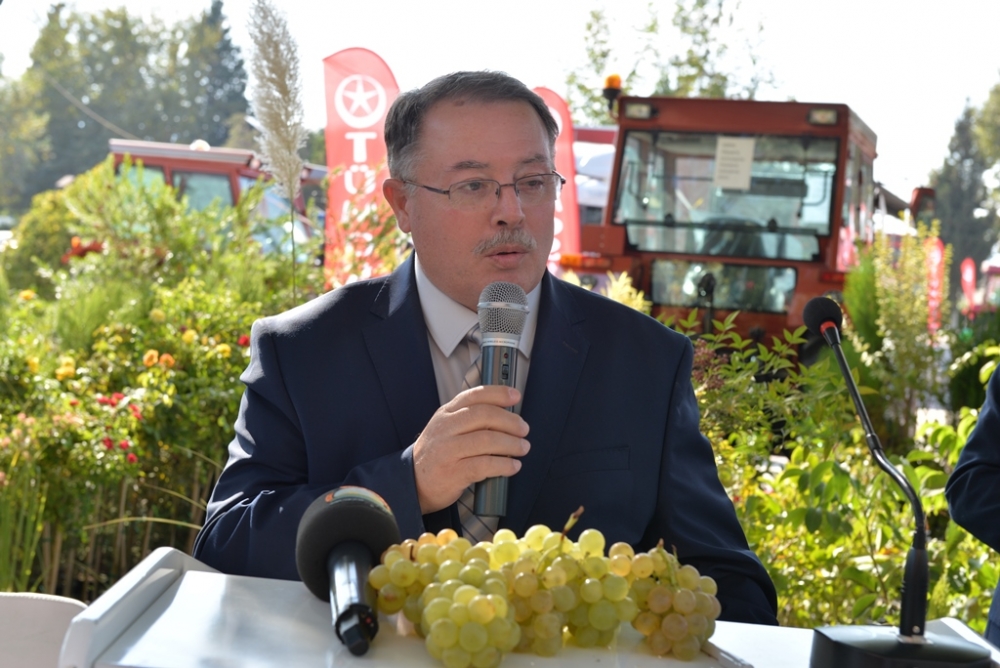 EN GÜZEL BERTİZ KABARCIK ÜZÜMÜ YARIŞMASI YAPILDI 11