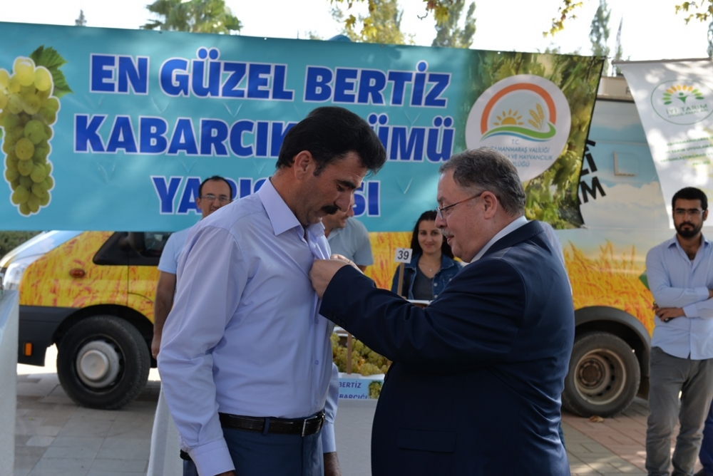 EN GÜZEL BERTİZ KABARCIK ÜZÜMÜ YARIŞMASI YAPILDI 13