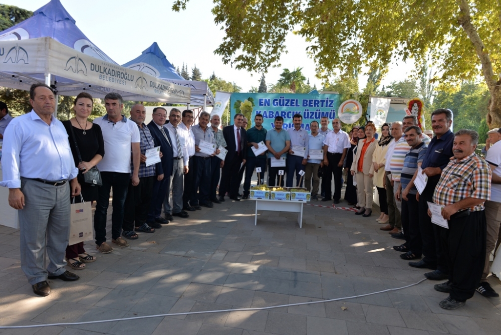 EN GÜZEL BERTİZ KABARCIK ÜZÜMÜ YARIŞMASI YAPILDI 15