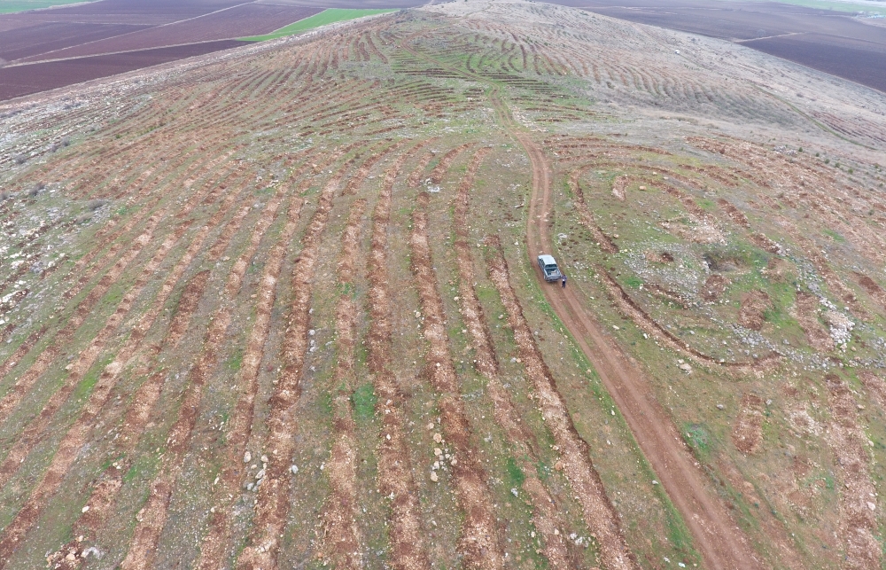 YANAN FİDANLARIN YERİNE BADEM FİDANLARI DİKİLDİ 10