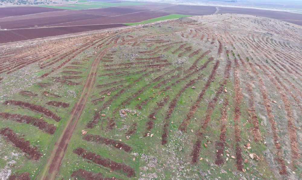 YANAN FİDANLARIN YERİNE BADEM FİDANLARI DİKİLDİ 11