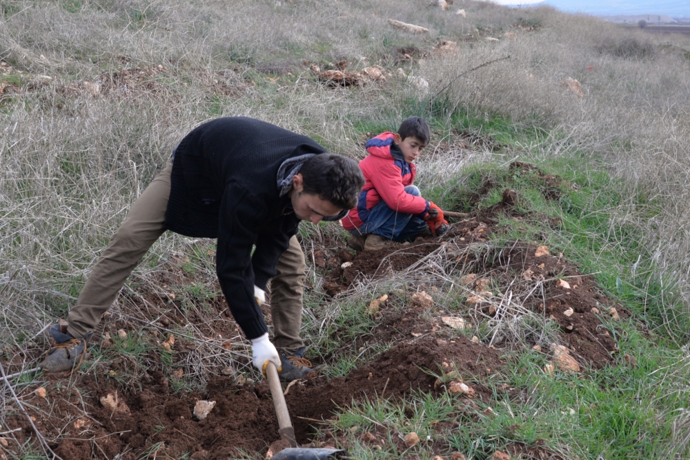 YANAN FİDANLARIN YERİNE BADEM FİDANLARI DİKİLDİ 14