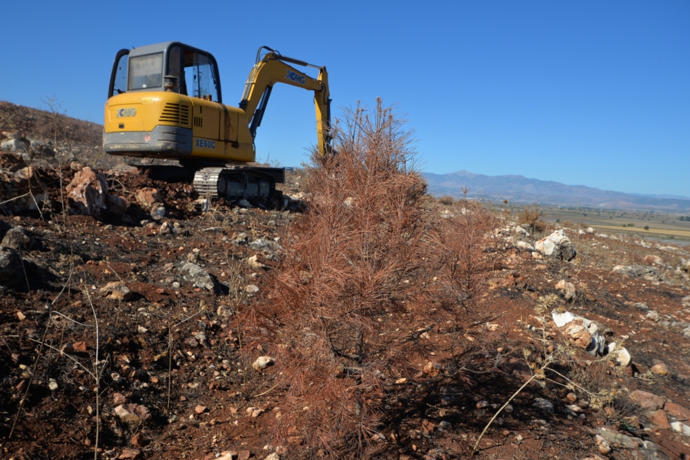 YANAN FİDANLARIN YERİNE BADEM FİDANLARI DİKİLDİ 3