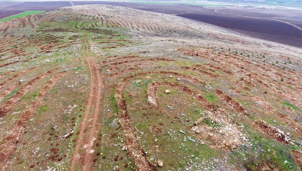 YANAN FİDANLARIN YERİNE BADEM FİDANLARI DİKİLDİ 9