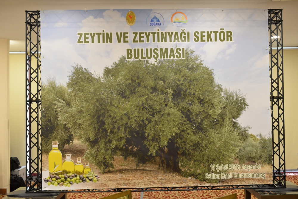 ZEYTİN VE ZEYTİN YAĞI SEKTÖRÜNDE KAHRAMANMARAŞ’TA VAR 13