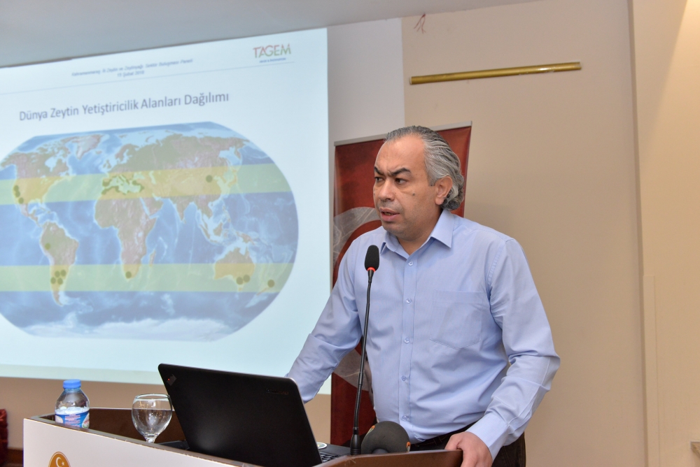 ZEYTİN VE ZEYTİN YAĞI SEKTÖRÜNDE KAHRAMANMARAŞ’TA VAR 15