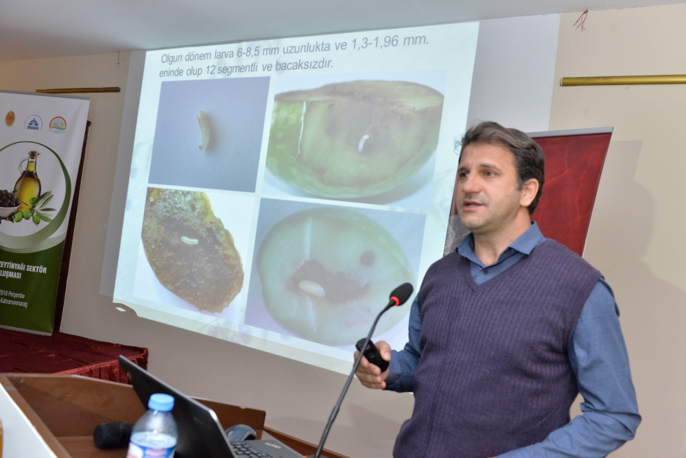 ZEYTİN VE ZEYTİN YAĞI SEKTÖRÜNDE KAHRAMANMARAŞ’TA VAR 16