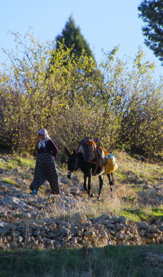 Anne hergün hatırlanmalı ve bu köylü kadını da bir annedir 1