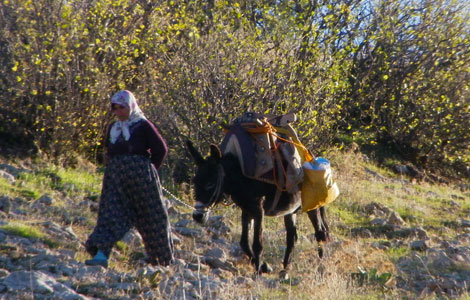 Anne hergün hatırlanmalı ve bu köylü kadını da bir annedir 2