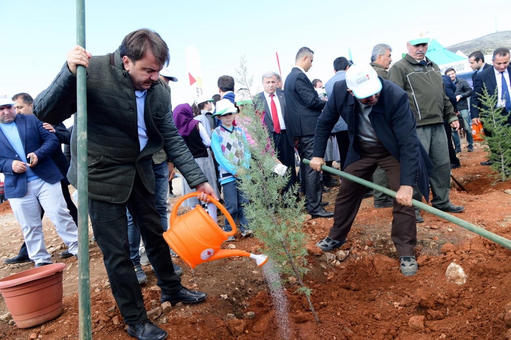 On Binlerce Fidan Toprakla Buluştu 8