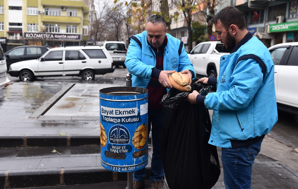 Dulkadiroğlu Belediyesi Yaban Hayvanlarına şefkat eli uzattı 2