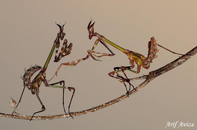 Günün Fotoğrafı 1