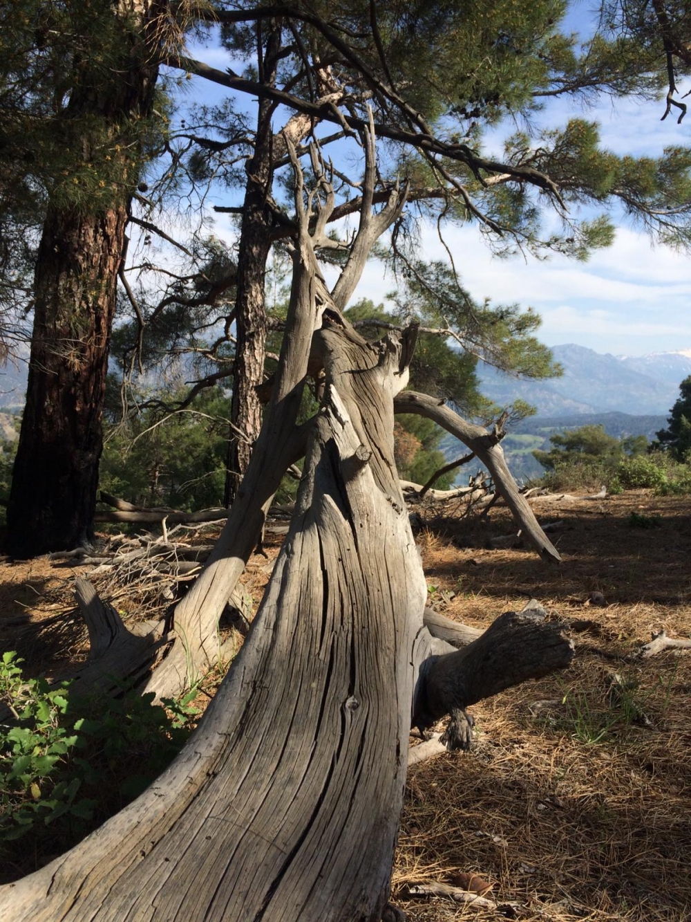 Ali Kayası Turizme kazandırılmalıdır 2