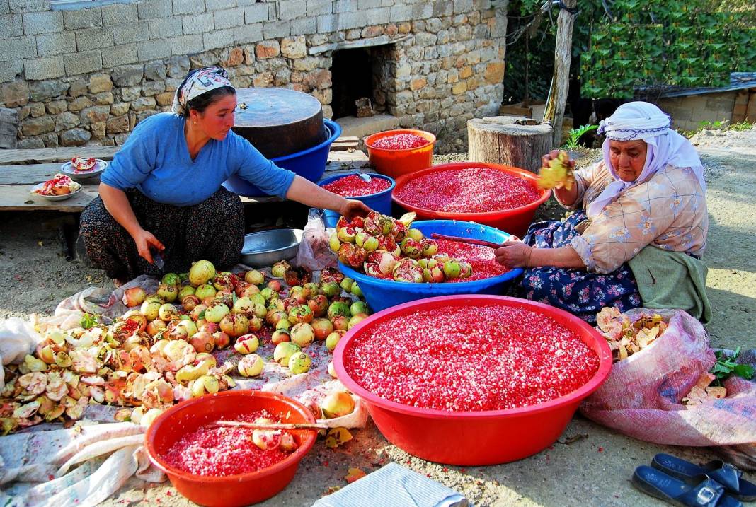 Nar Ekşisi her derde deva oluyor 2