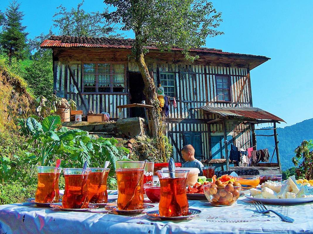 Çay’ın sofralara geliş hikâyesi 11