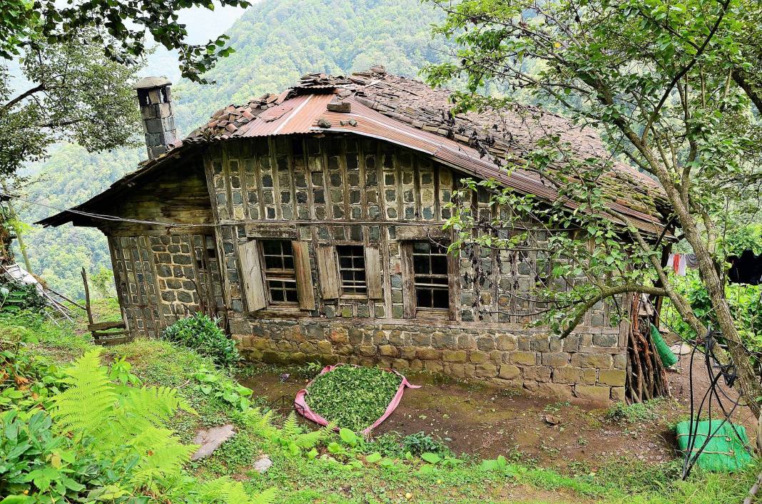 Çay’ın sofralara geliş hikâyesi 8