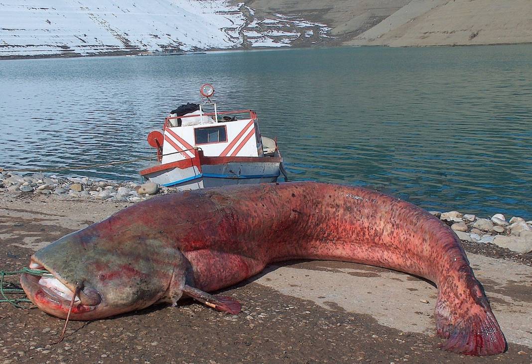 Menzelet’in Balıkçıları 10