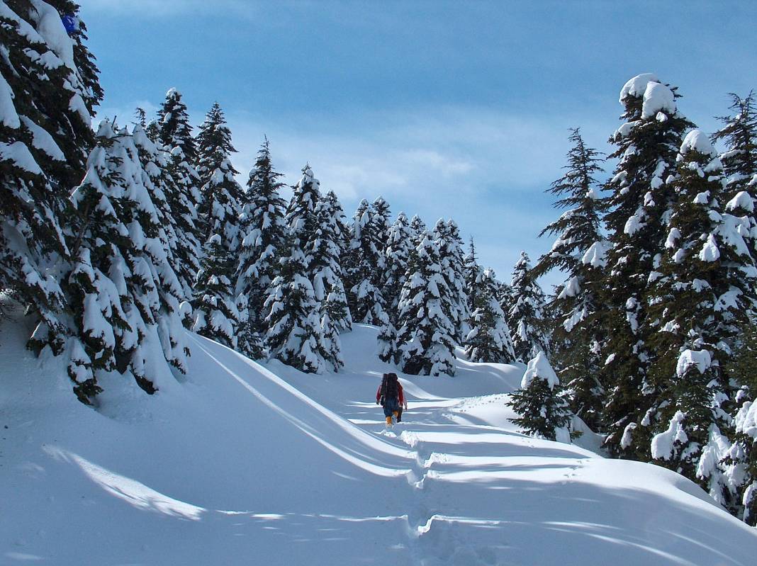 Beyaz gelinlikler diyarı Başkonuş Yaylası 1