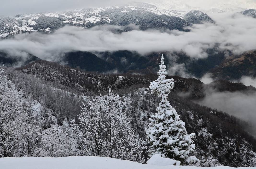 Beyaz gelinlikler diyarı Başkonuş Yaylası 13