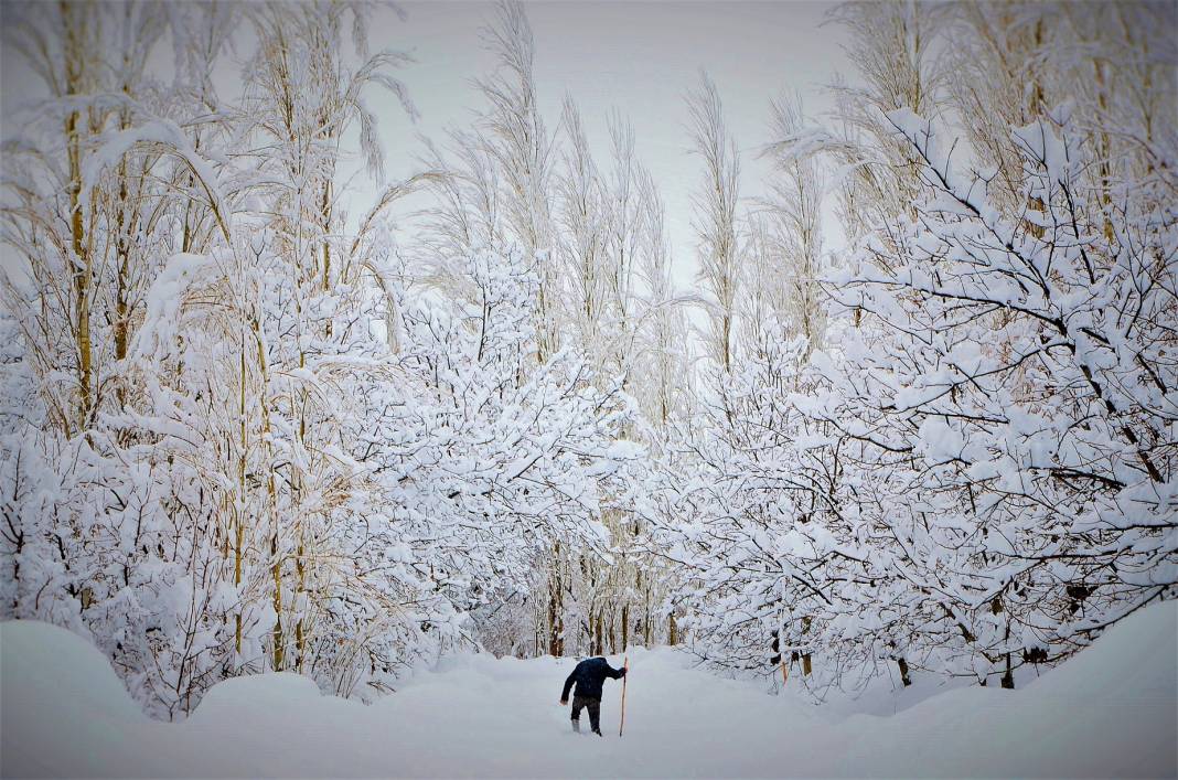 Beyaz gelinlikler diyarı Başkonuş Yaylası 4