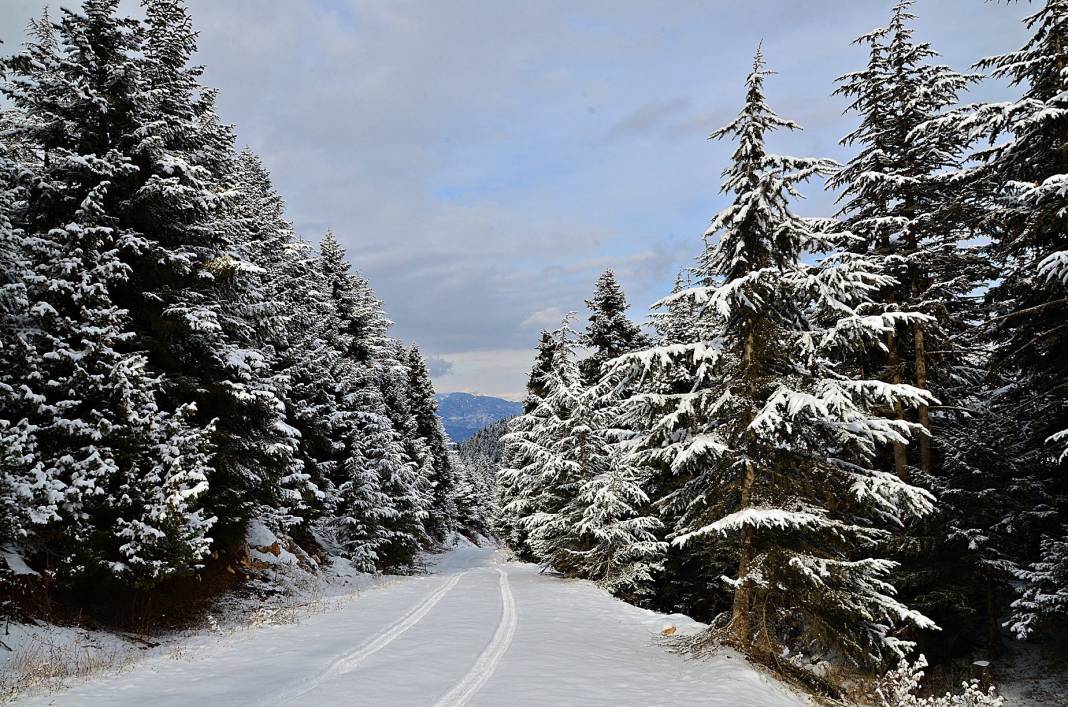 Beyaz gelinlikler diyarı Başkonuş Yaylası 6