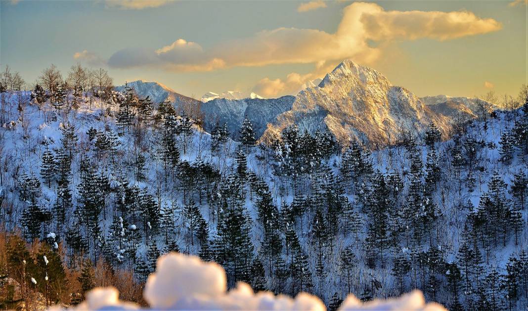 Beyaz gelinlikler diyarı Başkonuş Yaylası 8