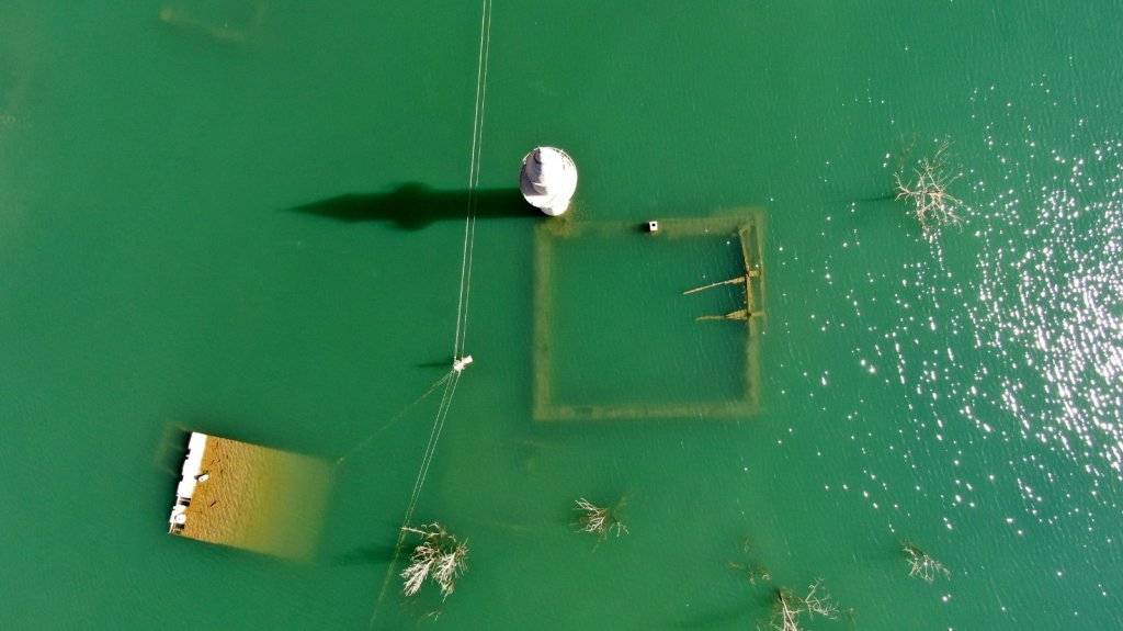 12 yıl sonra ortaya çıktı 8