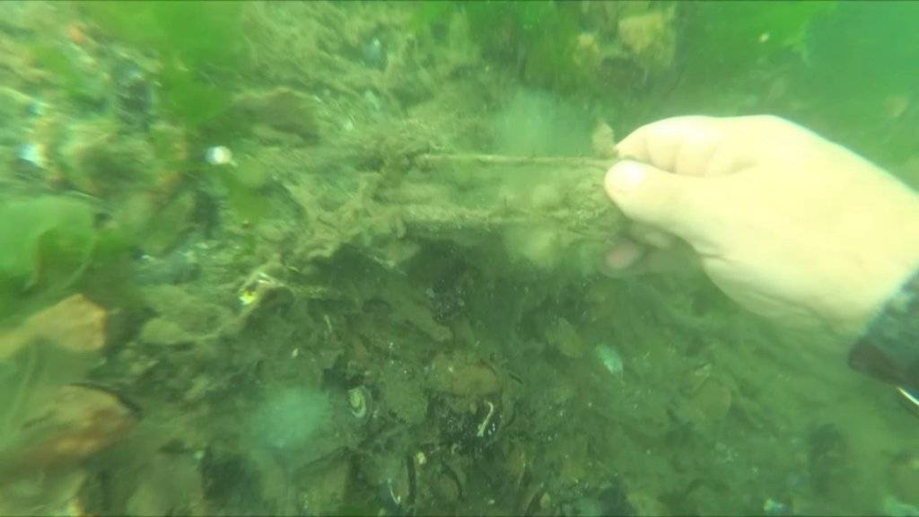 Deniz ve göllerimizde ki tehlike kirlilik 1