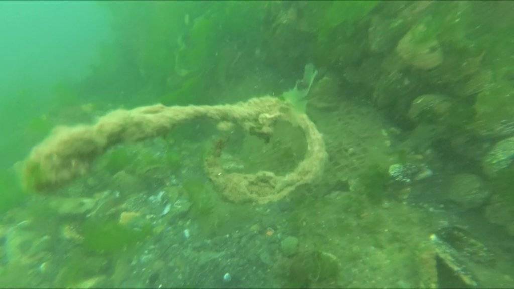 Deniz ve göllerimizde ki tehlike kirlilik 2