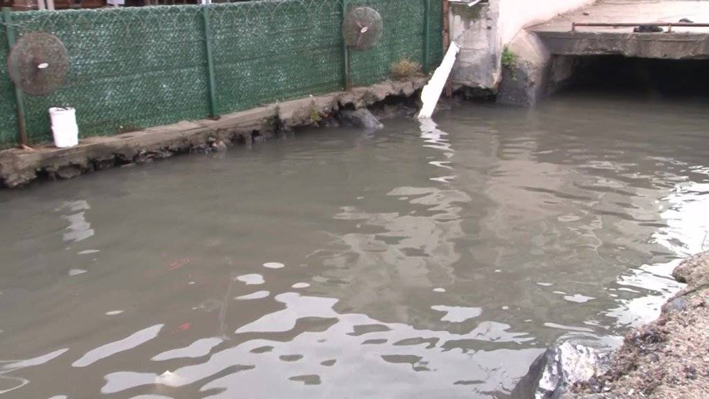 Deniz ve göllerimizde ki tehlike kirlilik 5